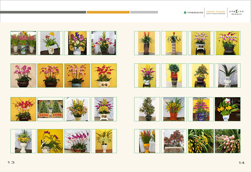 广州花场苗木画册设计,花场苗木画册设计公司