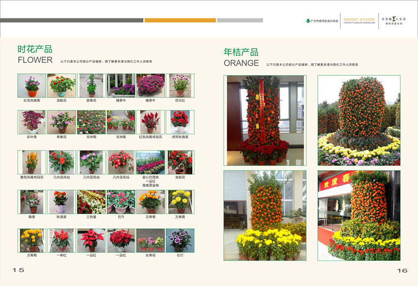 广州花场苗木画册设计,花场苗木画册设计公司