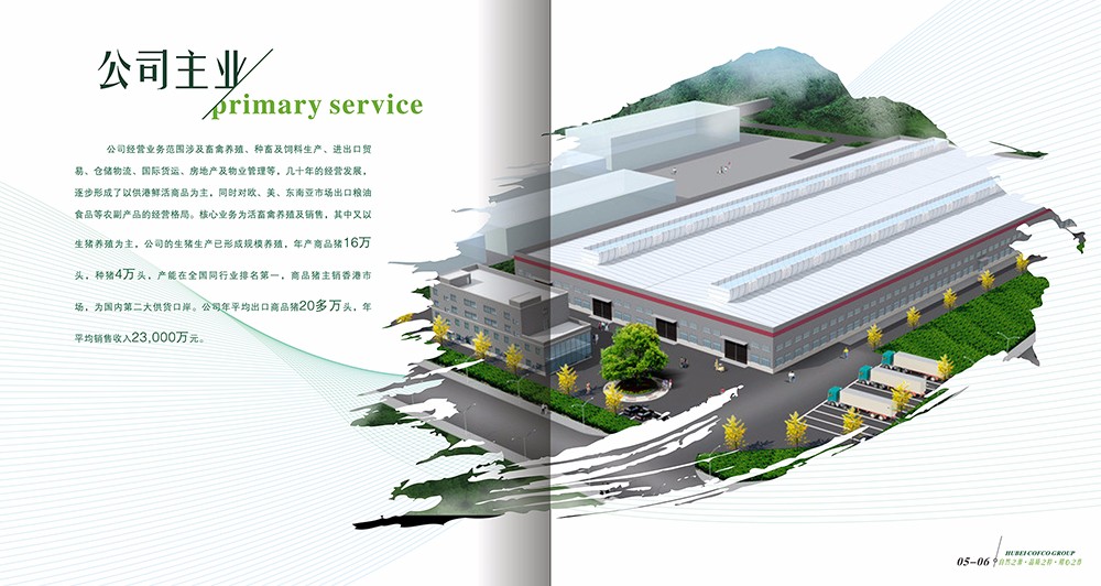 广州油粮食品画册设计-广州食品类画册设计公司