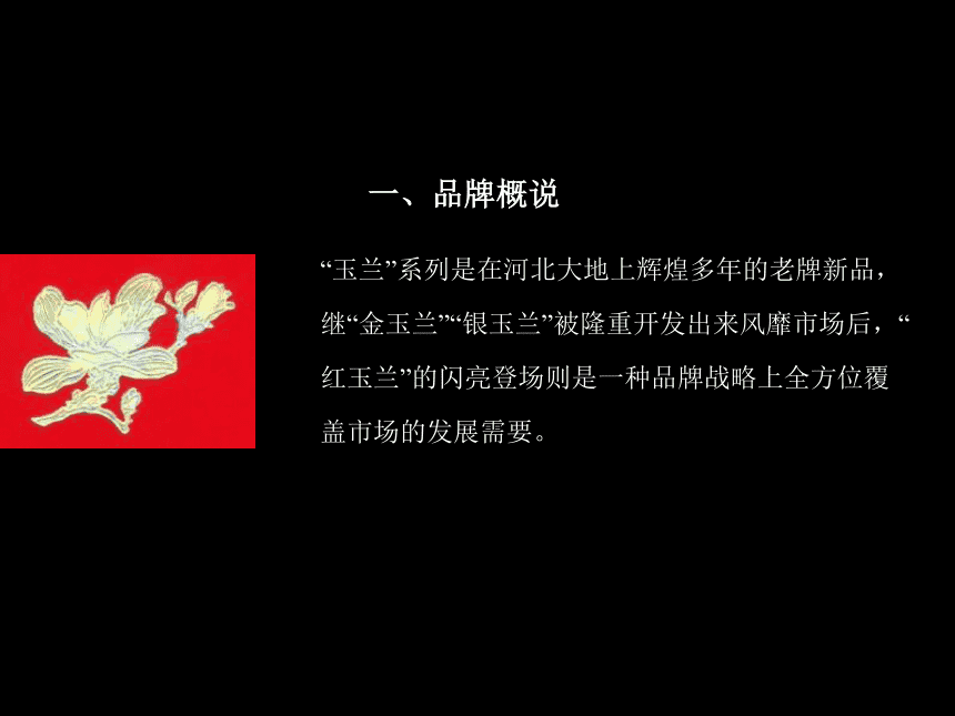 品牌策划案