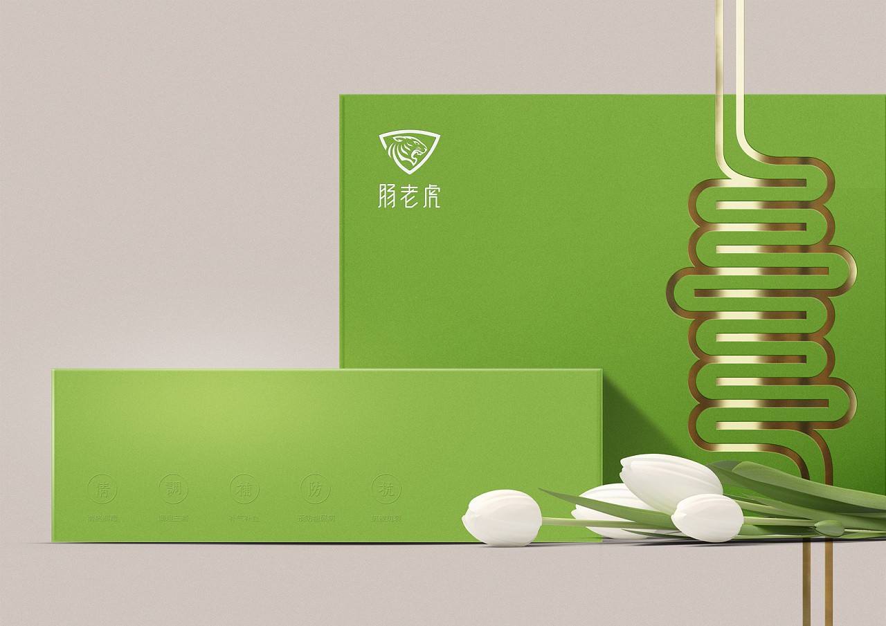 益生菌类保健品包装设计,肠胃保健品包装设计公司