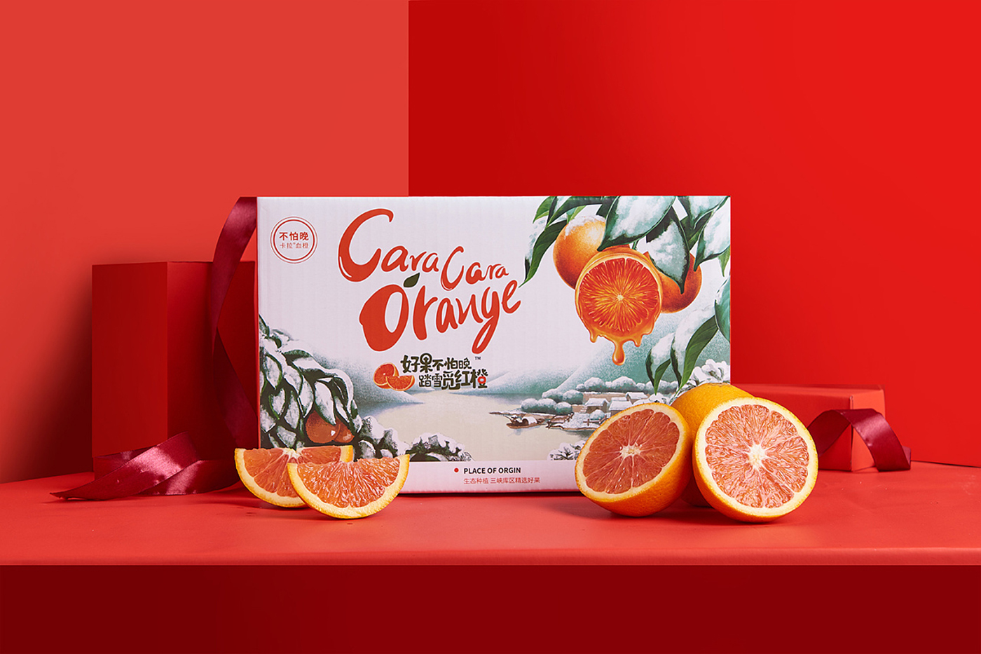 精美橙子包装设计图6