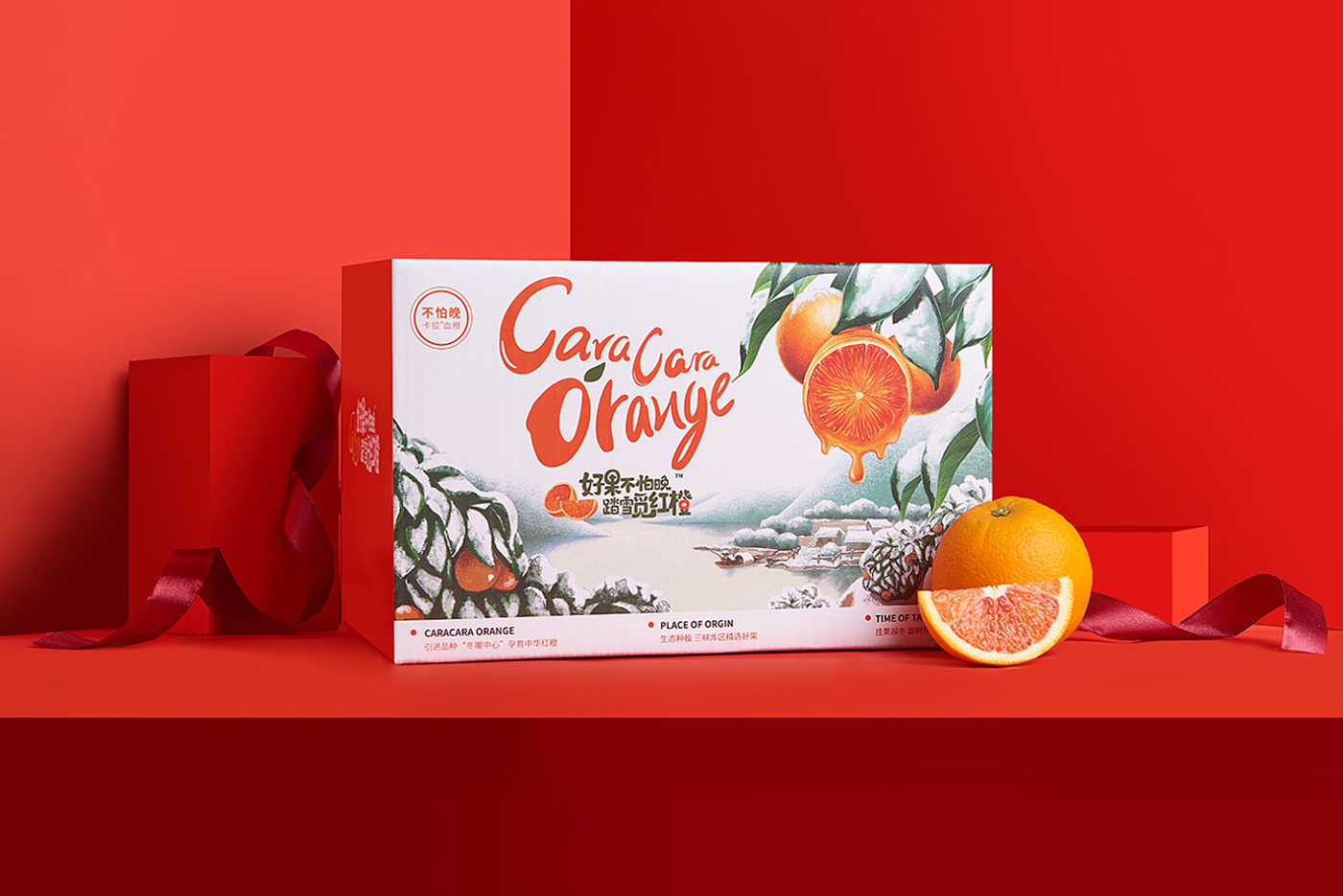 精美橙子包装设计图4
