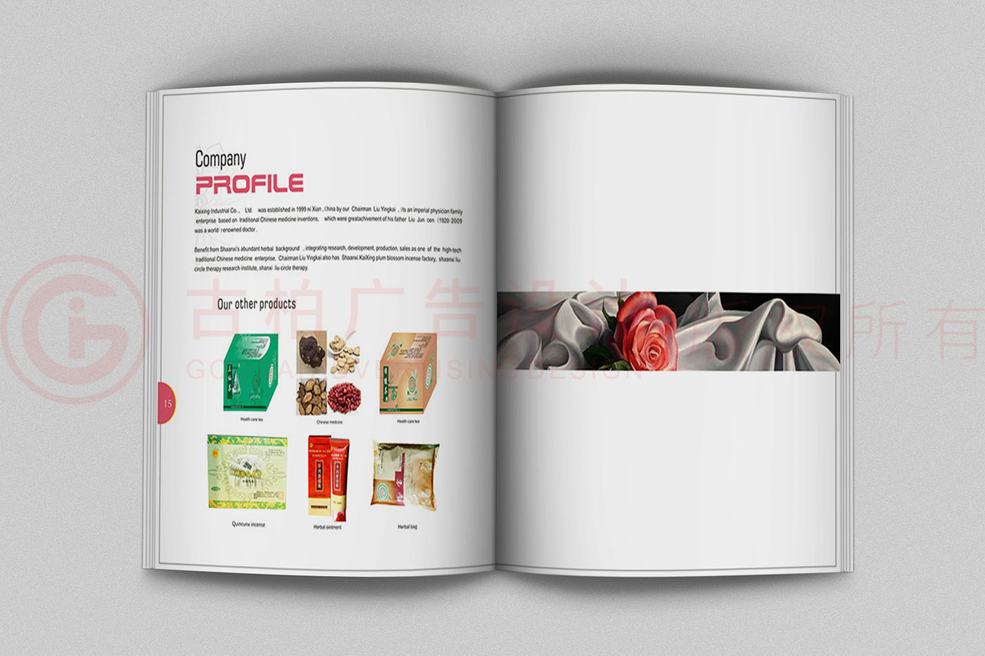 保养品产品宣传手册设计,保健产品宣传手册设计公司
