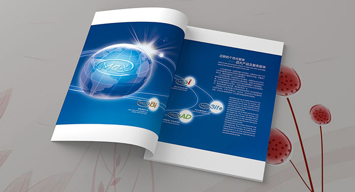 广州迈联科技画册设计-科技公司画册设计-信息科技画册设计公司