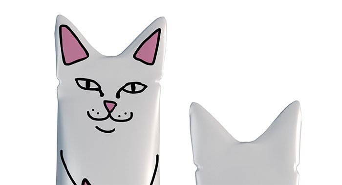 独立装猫粮包装设计-便携猫粮包装设计公司