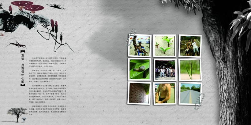 纪念册的几大类表现形式