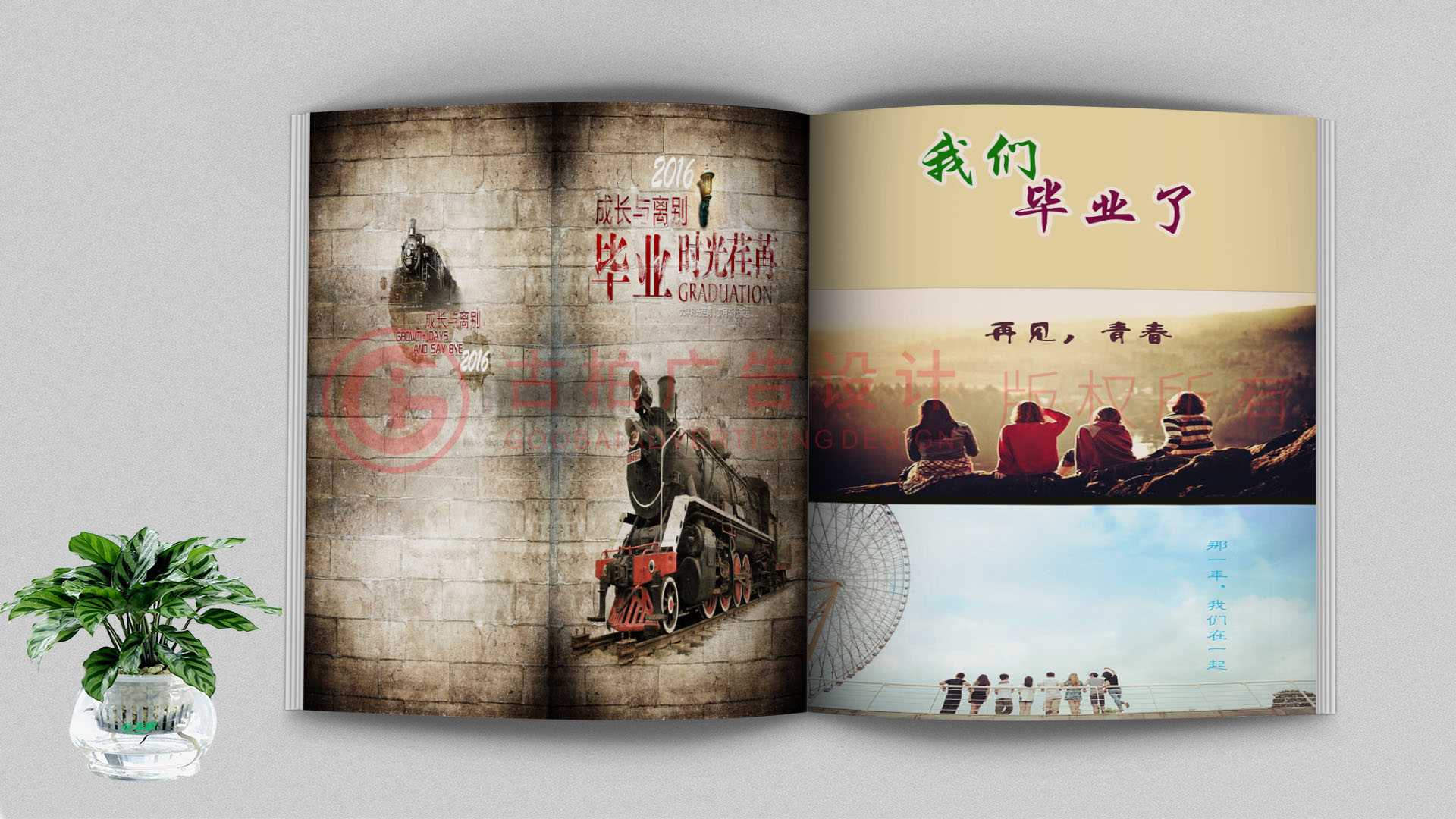 纪念册有哪些类型