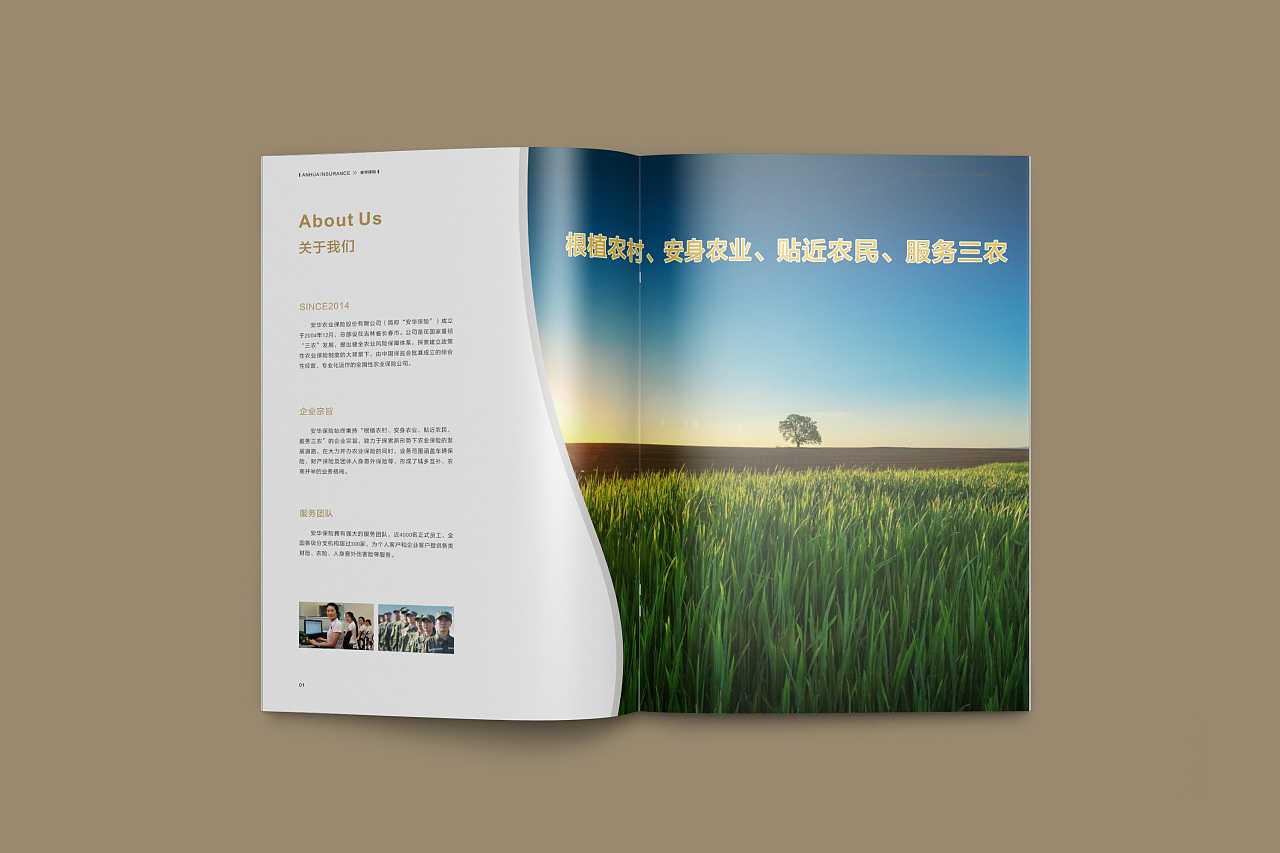 成都企业为什么要选择高端宣传册设计公司呢？