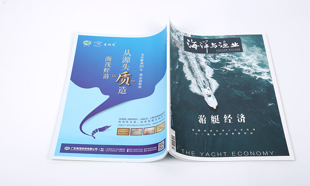 怎么设计宣传册怎么要多少钱？